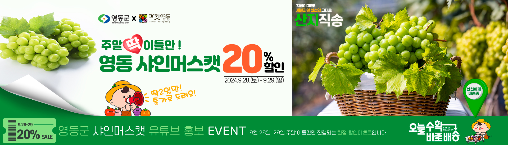 영동샤인머스캣 20%할인