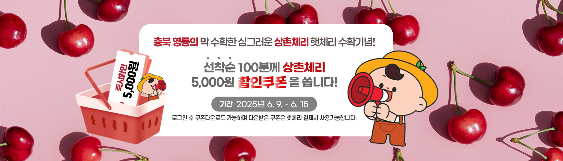 햇체리-선착순할인이벤트