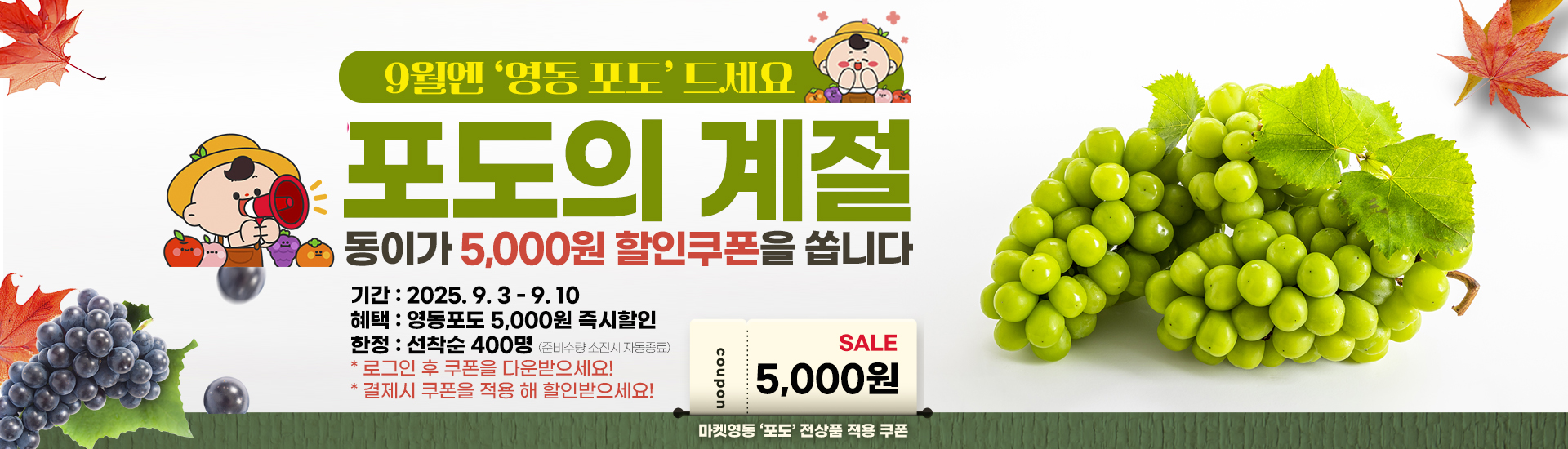 9월 영동포도 5,000원 할인쿠폰 증정!