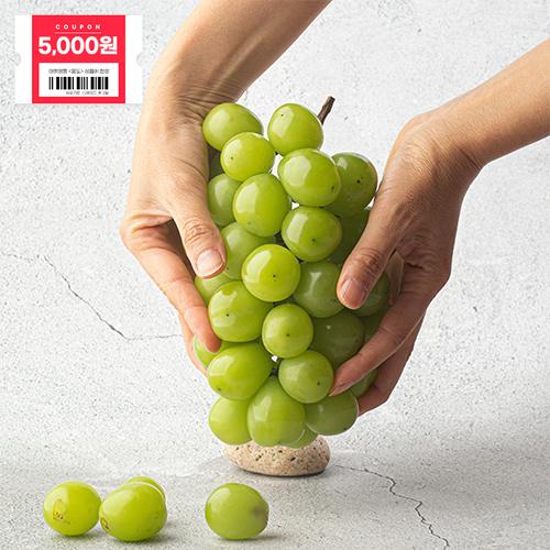 고당도 프리미엄 샤인머스캣 (1~2KG)