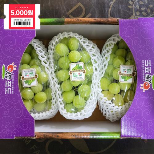 [GAP인증]2025 샤인머스켓 2-4kg 