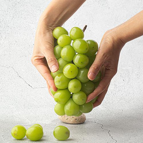[50%추가할인]고당도 프리미엄 샤인머스캣 2KG