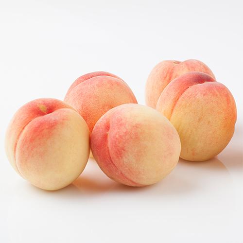 프리미엄 달콤한 백도 복숭아 4kg