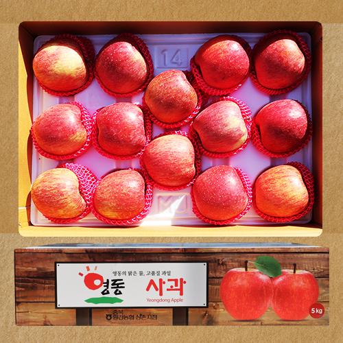박가네 영동 햇사과 5KG