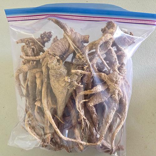 [민주지산신선농장]  7년근  잔대  (생  /  건조)