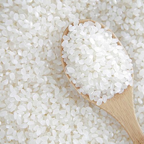 [에제르농원]2025 햅쌀 20kg (삼광미)